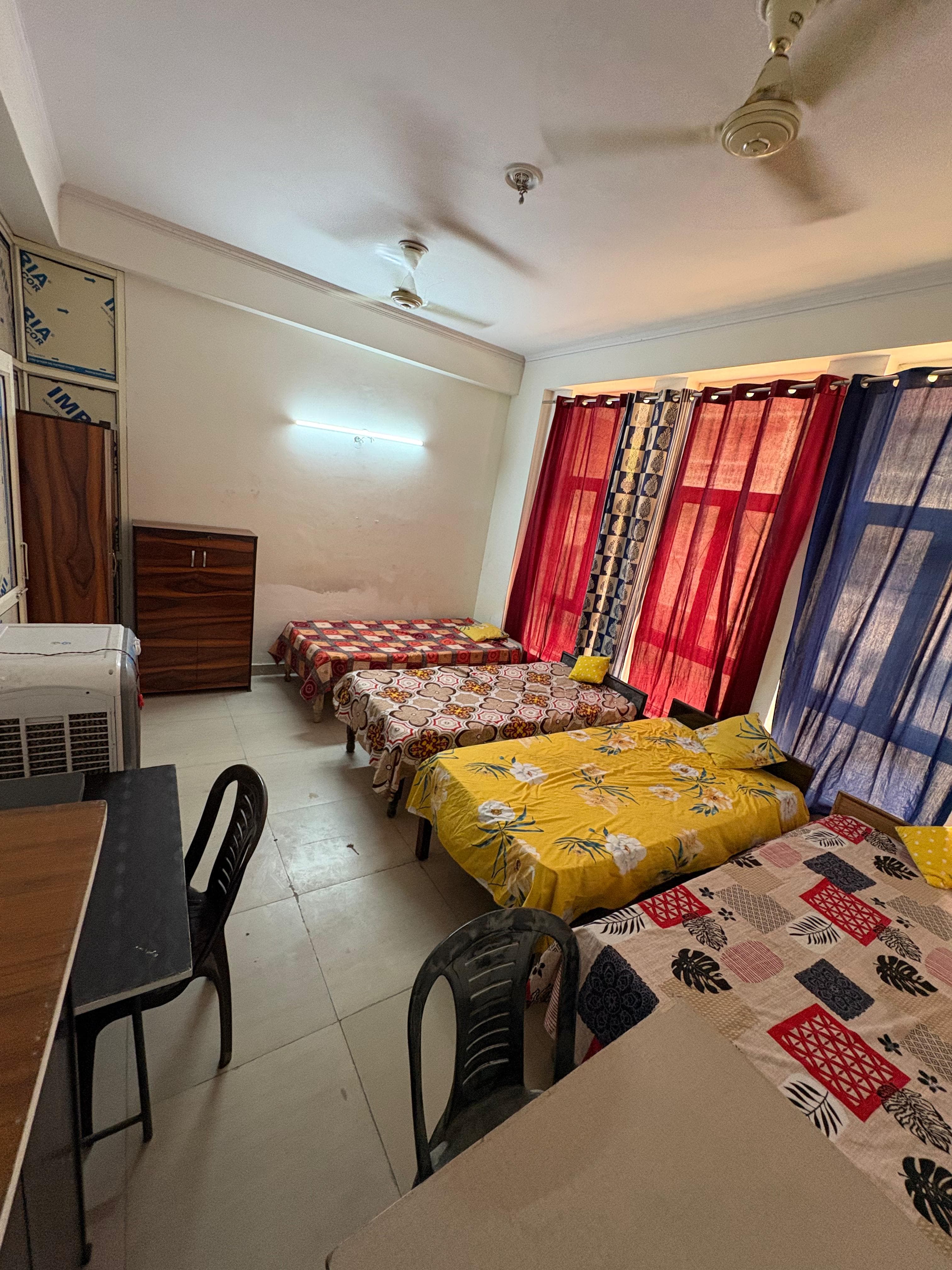 pg near noida international university